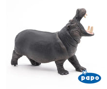Load image into Gallery viewer, Hippopotamus