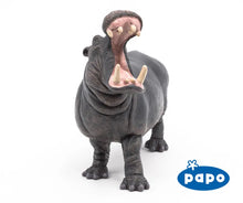 Load image into Gallery viewer, Hippopotamus