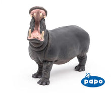 Load image into Gallery viewer, Hippopotamus