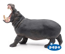 Load image into Gallery viewer, Hippopotamus