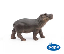 Load image into Gallery viewer, Hippopotamus Calf