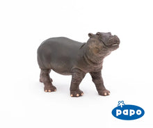 Load image into Gallery viewer, Hippopotamus Calf