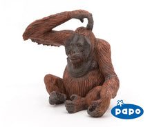 Load image into Gallery viewer, Orangutan