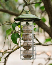 Load image into Gallery viewer, Peckish Canto Energy Ball Feeder