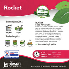 Load image into Gallery viewer, Rocket 2Kg