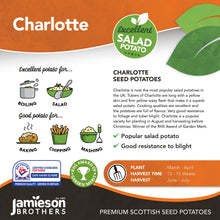 Load image into Gallery viewer, Charlotte 2Kg
