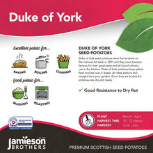 Load image into Gallery viewer, Duke Of York 2Kg