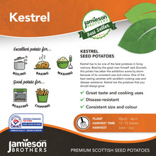 Load image into Gallery viewer, Kestrel 2Kg