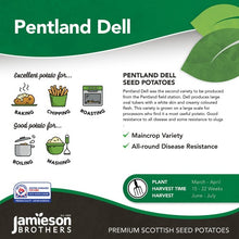 Load image into Gallery viewer, Pentland Dell 2kg