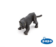 Black Leopard