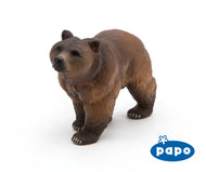 Pyrenees Bear