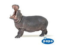 Hippopotamus