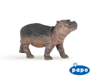 Hippopotamus Calf
