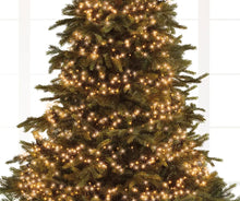 Load image into Gallery viewer, Led Cluster Lights - 2040 - Classic Warm
