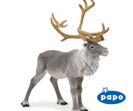 Reindeer