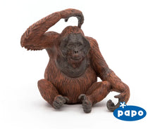 Load image into Gallery viewer, Orangutan
