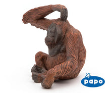 Load image into Gallery viewer, Orangutan
