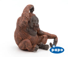 Load image into Gallery viewer, Orangutan
