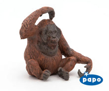 Load image into Gallery viewer, Orangutan
