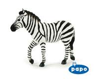 Male Zebra