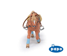 Load image into Gallery viewer, Young Rider's Horse

