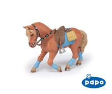 Load image into Gallery viewer, Young Rider's Horse
