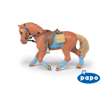 Load image into Gallery viewer, Young Rider's Horse
