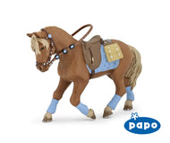 Young Rider's Horse