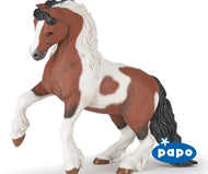 Irish Cob