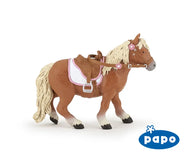 Shetland Pony with Saddle