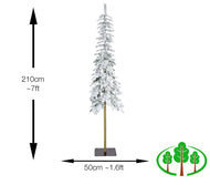 210cm Alpine Fir