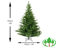 180cm Liberty Spruce