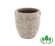 Artifact Pot 18cm
