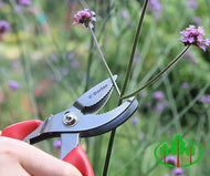 Cut-n-Hold Bypass Pruner
