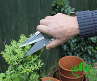 Stainless Steel Topiary Shear