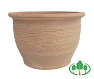 Ginger Pot 50cm No.1