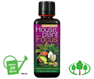 Houseplant Focus