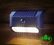 PIR Sentinel Flood Light