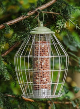 Load image into Gallery viewer, Peckish Canto Squirrel Proof Peanut Feeder
