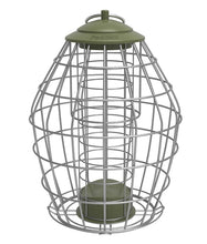 Load image into Gallery viewer, Peckish Canto Squirrel Proof Energy Ball Feeder
