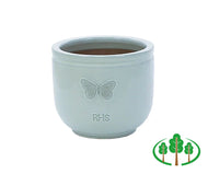 RHS Wildlife Blue Butterfly 37cm