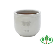 RHS Wildlife Cream Butterfly 37cm