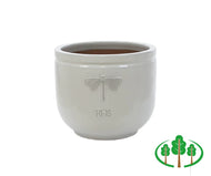 RHS Wildlife Cream Dragonfly 37cm