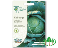 RHS-CABBAGE (Savoy) Tundra F1