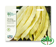 RHS-CLIMBING FRENCH BEAN Golden Gate
