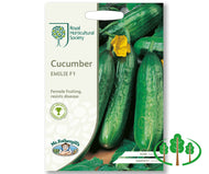 RHS-CUCUMBER Emilie F1