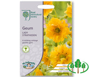RHS-GEUM Lady Stratheden