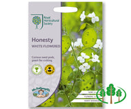 RHS-HONESTY White-Flowered