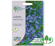 RHS-LOBELIA Cascade Blue