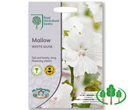 RHS-MALLOW White Musk